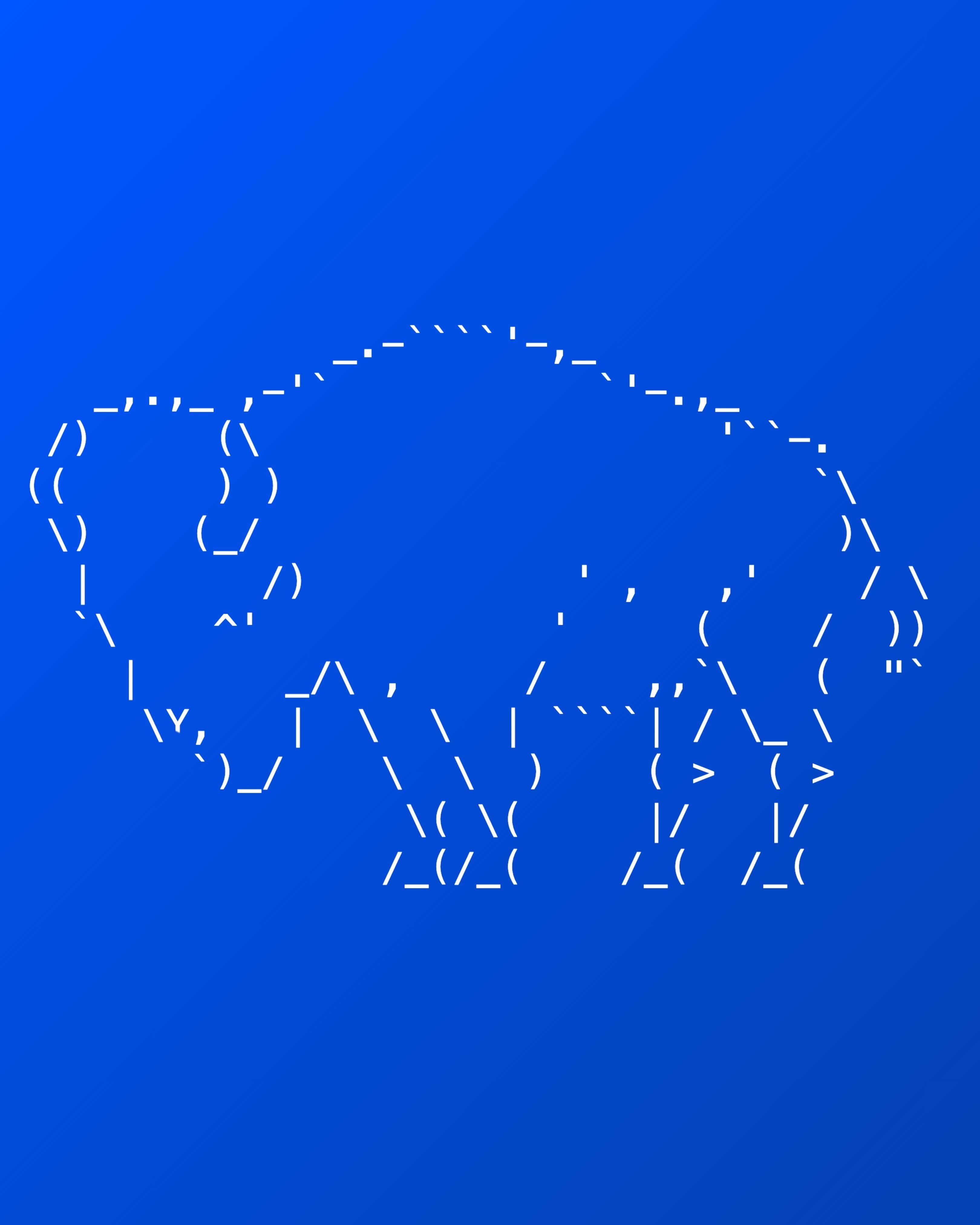 House Outline